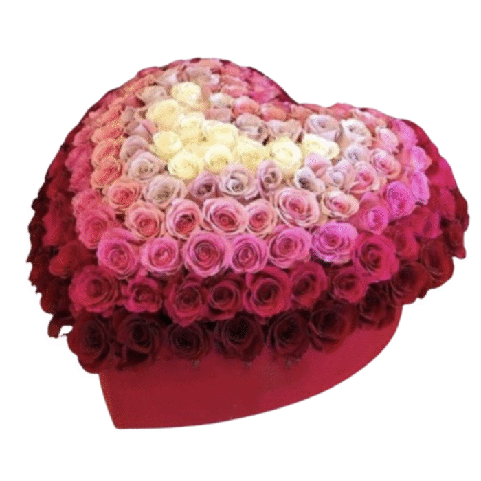 Rosas blancas rosadas fucsias rojas Corazon Desiree - Image 1