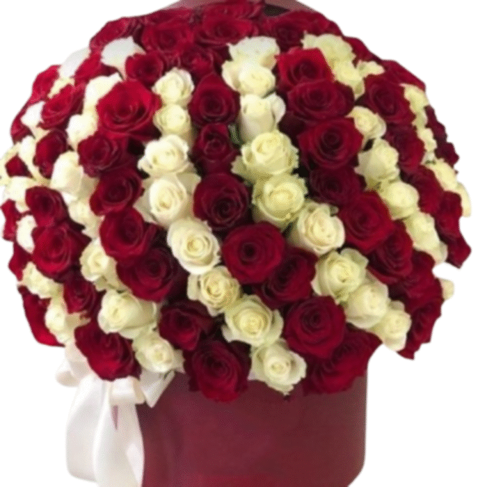 Rosas blancas y rojas Diseño Monumental - Imagen de 1