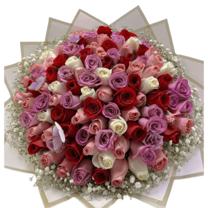 Rosas blancas rosadas fucsias rojas Amor en colores - Imagen de 1