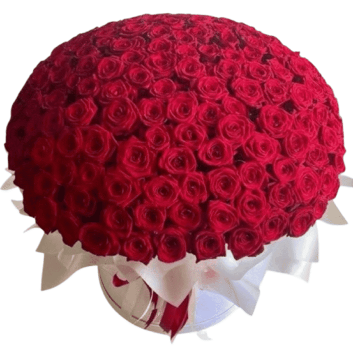 300 rosas rojas Caja Paris - Imagen de 1