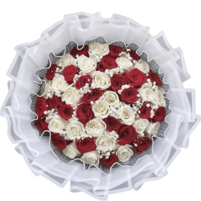 Rosas rojas y blancas Fuerza y Belleza - Imagen de 1