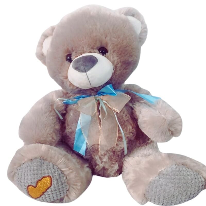 Peluche Oso Premium