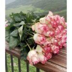 Flores por Suscripción - Imagen de 4